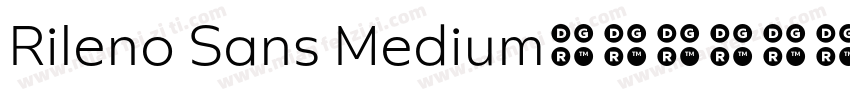 Rileno Sans Medium字体转换